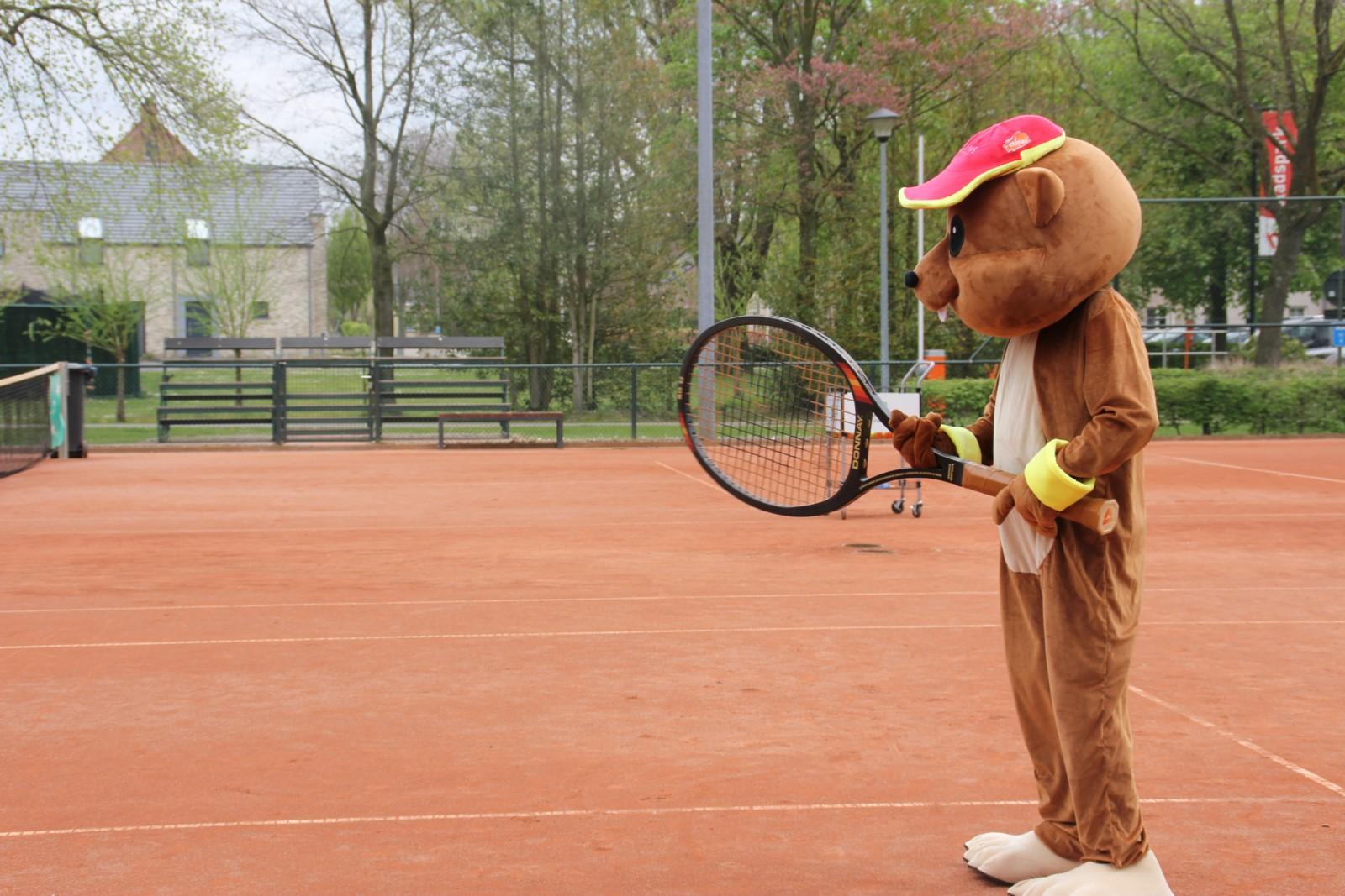 <b>Kastaar, mascotte van Tennis Vlaanderen</b>